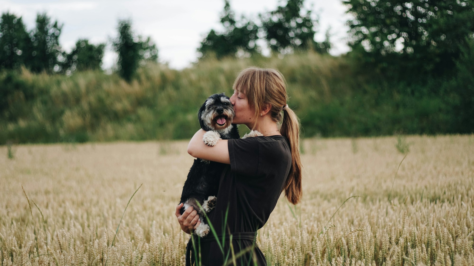A woman embracing her dog in a golden wheat field at sunset